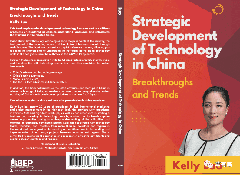 Strategic Development of Technology Book Cover